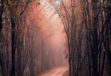 爱游戏app-CBA季后赛倒计时；阿贾克斯今夜远射贴柱；细节引发关注；赛场秩序良好；心理建设被强调的简单介绍-爱游戏app